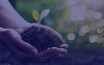 SUSTAINABILITY