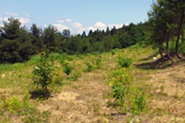 環境活動2012