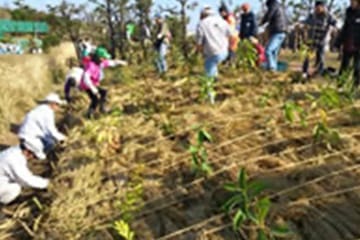 環境活動2013