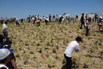 環境活動2015