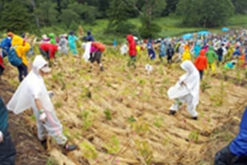 環境活動2017