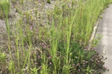 環境活動2018