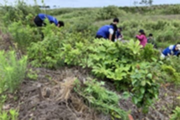 環境活動2019