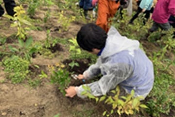環境活動2019